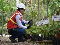 米拉多铜矿：践行绿色生长理念 打造现代花园矿山